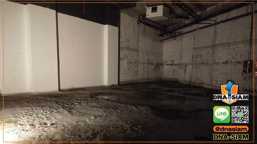 LINE_ALBUM_รื้อถอนภายใน_250214_21